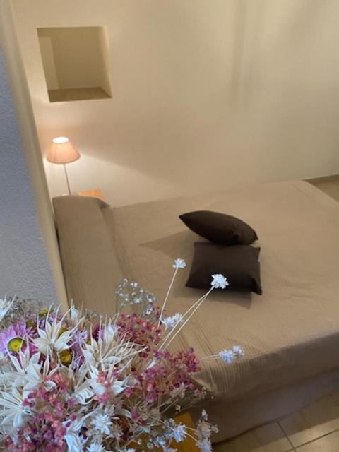 Appartement De Charme Vieille Ville コルテ エクステリア 写真